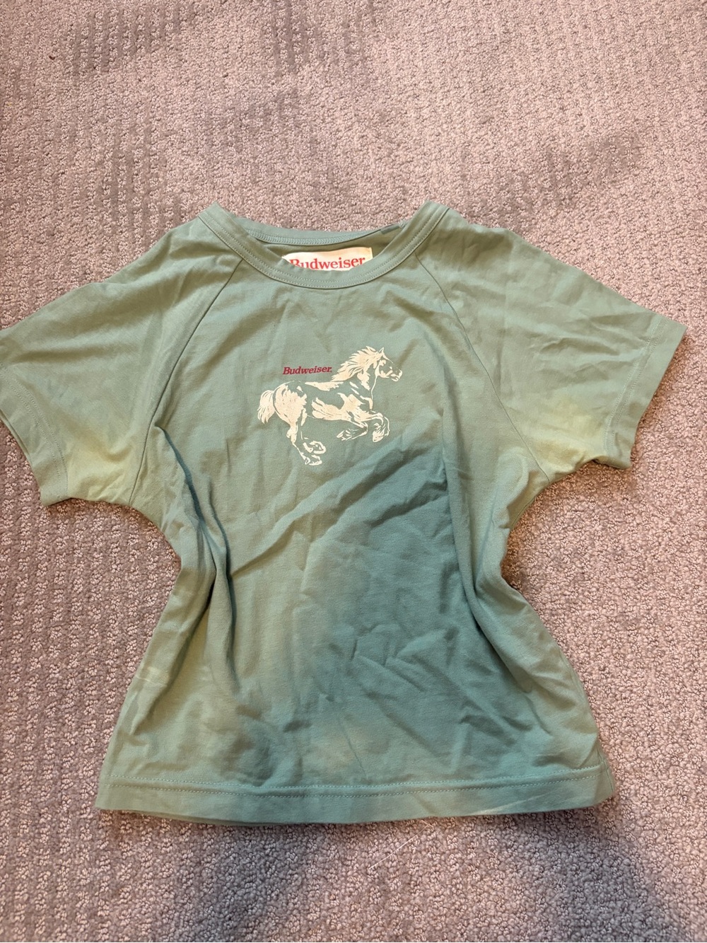 PacSun Sage Green Cropped Graphic Tee